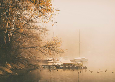 Foggy morning on the lake