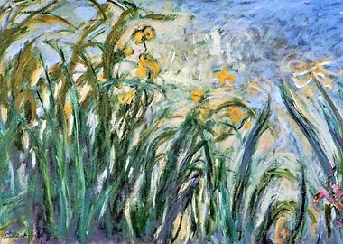 yellow irises and malva