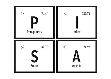 Elements of Pisa City