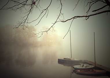 Autumn foggy morning, lake