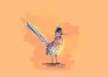 Roadrunner Desert Bird