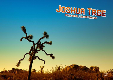 Joshua Tree National Park