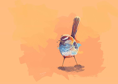 Cactus Wren Bird