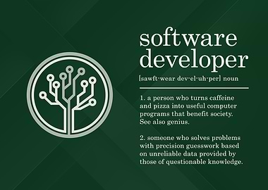 Funny Software Developer
