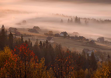 Autumn view, misty hills