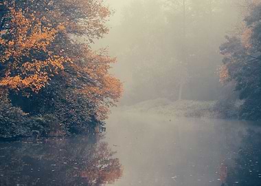 Autumn morning misty park