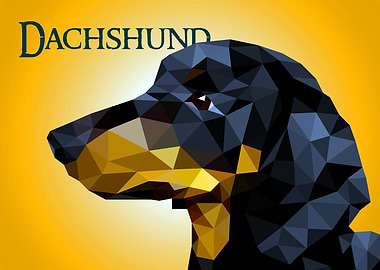 Dachshund