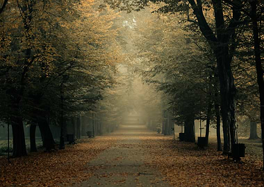 Autumn travel, misty road
