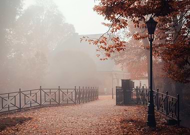 Autumn morning in the park