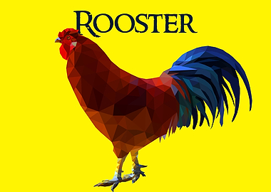 Rooster