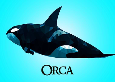 Orca