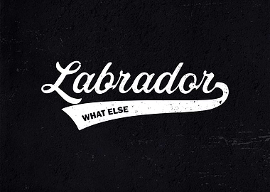 Labrador what else