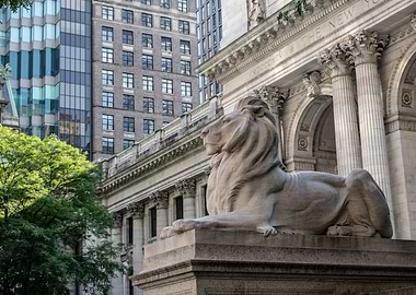 public library lion statue