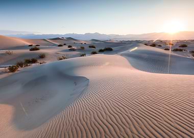 Mesquite Flat Sand Dunes