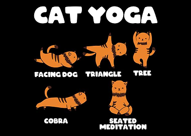 Cat Yoga