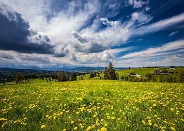Spring in Tatra Mountains