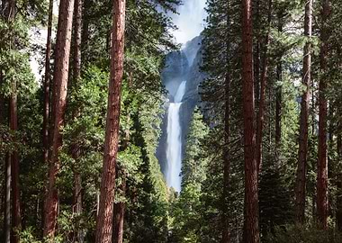 Yosemite fall California