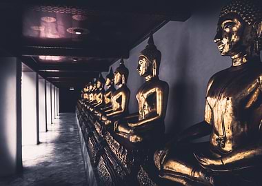 Golden Buddha Collection