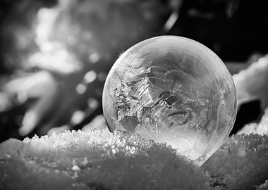 Frozen bubble,winter, B&W