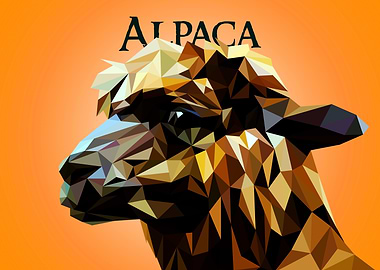 Alpaca