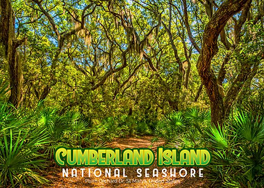 Cumberland Island