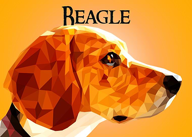 Beagle