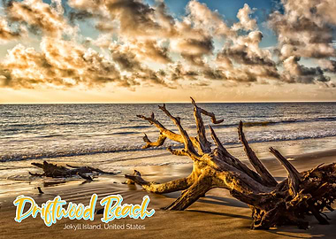 Driftwood Beach Jekyll