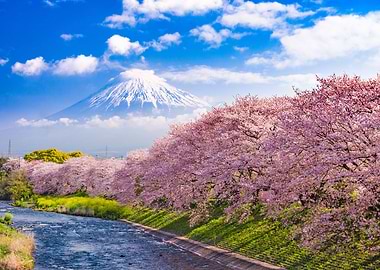Mount Fuji