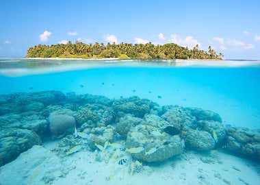 Island and coral reef