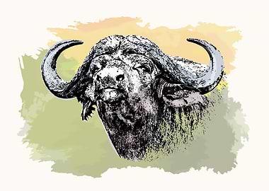 Buffalo Bull in Color Wash