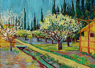 Orchard Bordered by Cypres