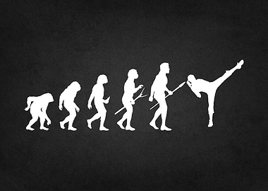evolution of taekwondo