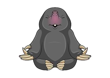 Mole Yoga Meditation