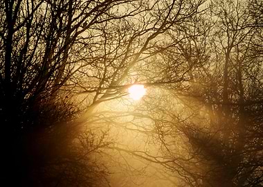 Light Sunset Sunrise