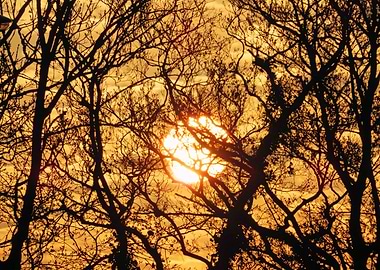 Sunrise Sunset Silhouette