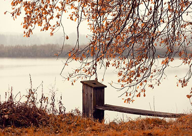 Misty autumn morning, pond
