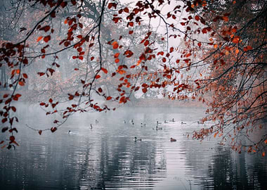 Autumn views and travels