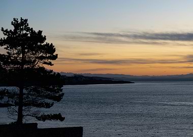 Sunrise Trafalger Park