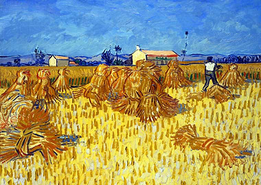 Harvest in Provence