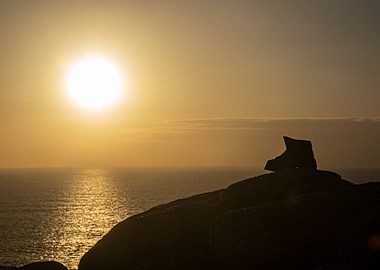 Where the hell is my foot