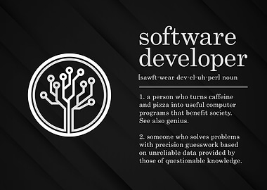 Funny Software Developer
