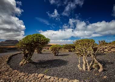 Spain landscape, Lanzarote