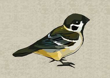 Abstract Sparrow Nice