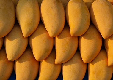 mangoes