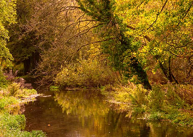 Landscape in Bibury