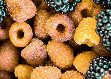 Raspberries