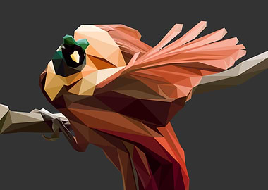 Red Cendrawasih Lowpoly