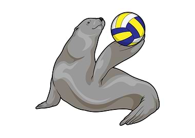 Seal Volleyball Sports