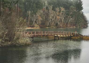 Let the rain feel my pain