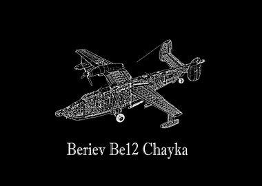 Beriev Be12 Chayka
